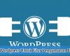 Plugin Wajib Wordpress