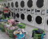 Jasa Laundry