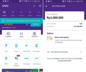 Apa Saja Keuntungan dan Jenis Layanan PayLater? - Ternak Duit