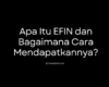 Apa Itu EFIN dan Bagaimana Cara Mendapatkannya